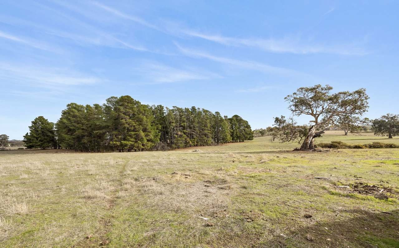 Lot 3 Keyneton Road, Eden Valley For Sale by Farmbuy.com - image 30