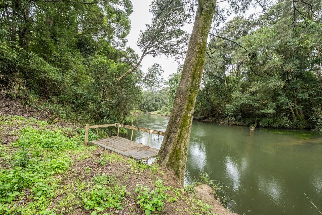 1502 Orara Way, Nana Glen  For Sale by Farmbuy.com - image 16