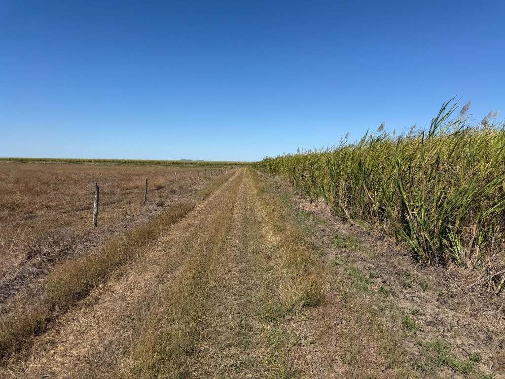 25 Lochinvar Road, Brandon For Sale by Farmbuy.com - image 21