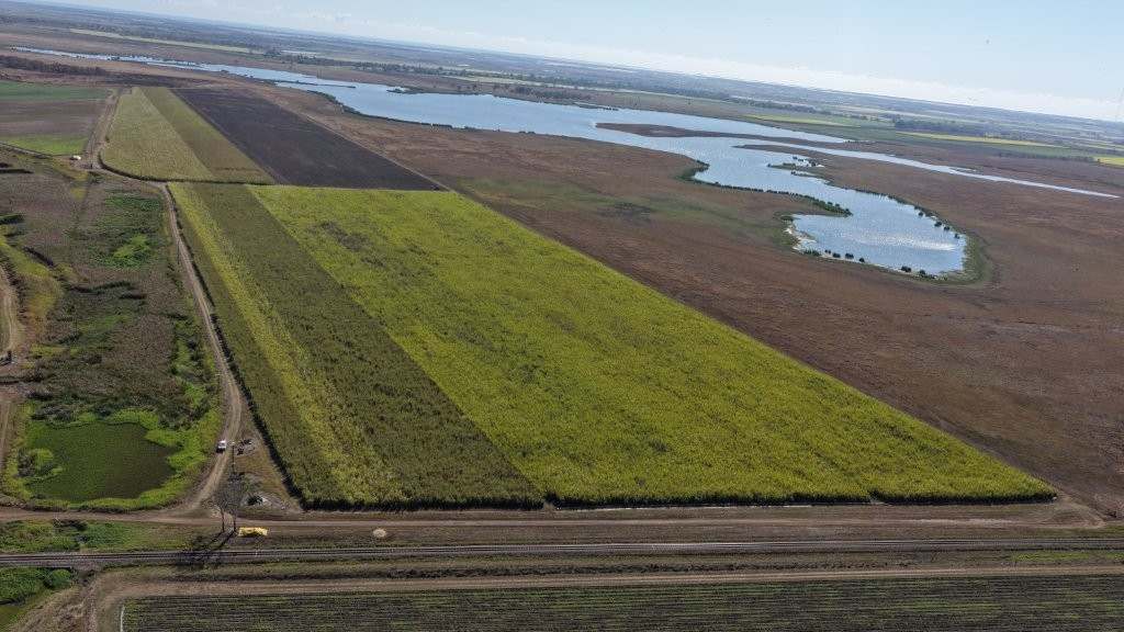 25 Lochinvar Road, Brandon For Sale by Farmbuy.com - image 1