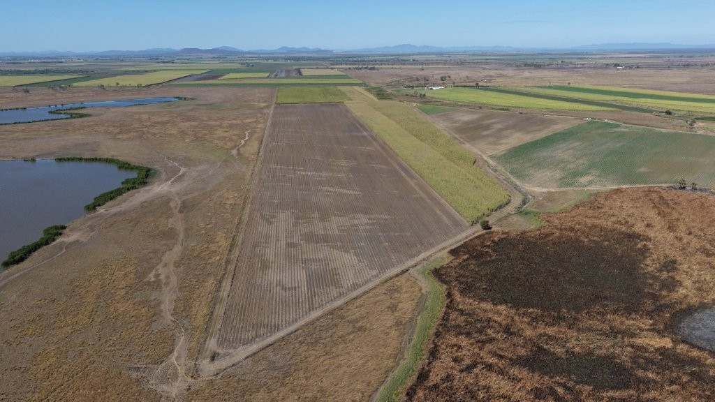 25 Lochinvar Road, Brandon For Sale by Farmbuy.com - image 7