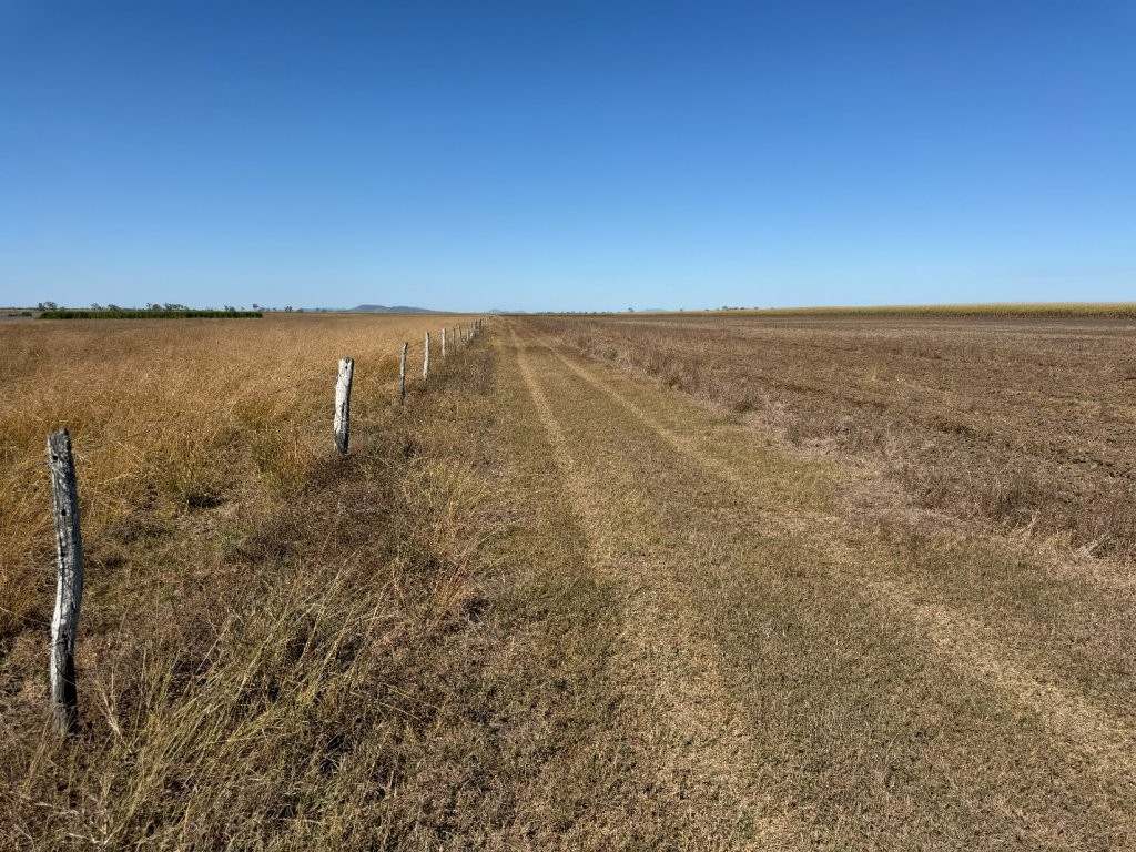 25 Lochinvar Road, Brandon For Sale by Farmbuy.com - image 19
