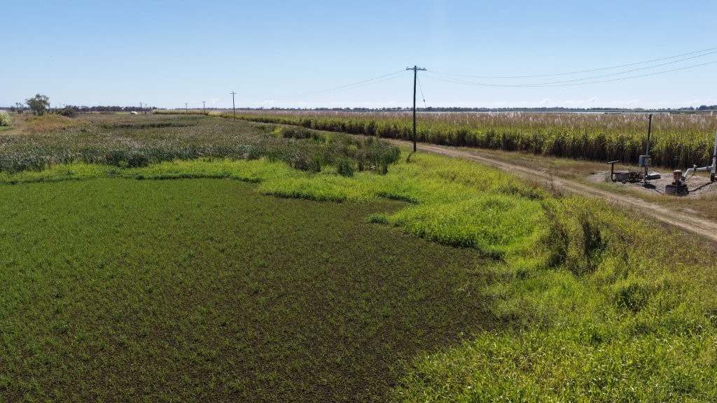 25 Lochinvar Road, Brandon For Sale by Farmbuy.com - image 3