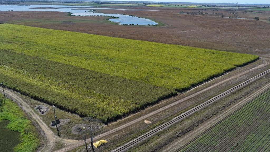 25 Lochinvar Road, Brandon For Sale by Farmbuy.com - image 12
