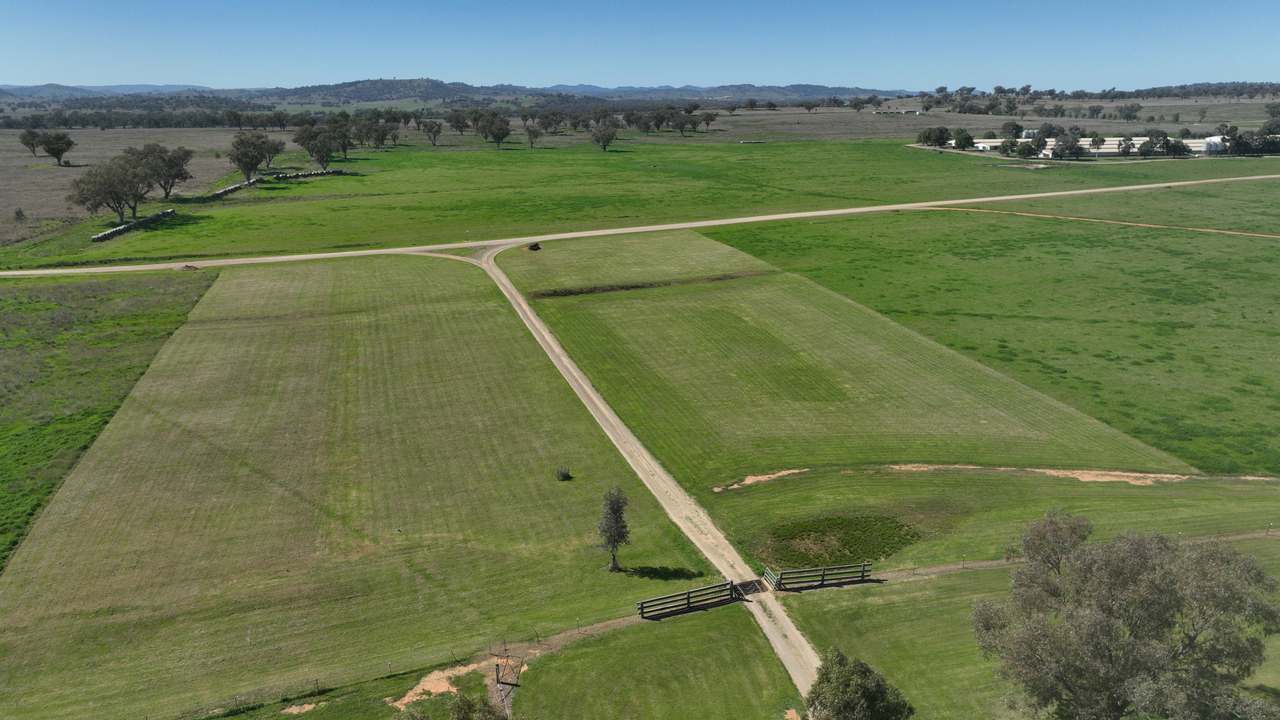 Tharri Farm, Manilla For Sale by Farmbuy.com - image 23