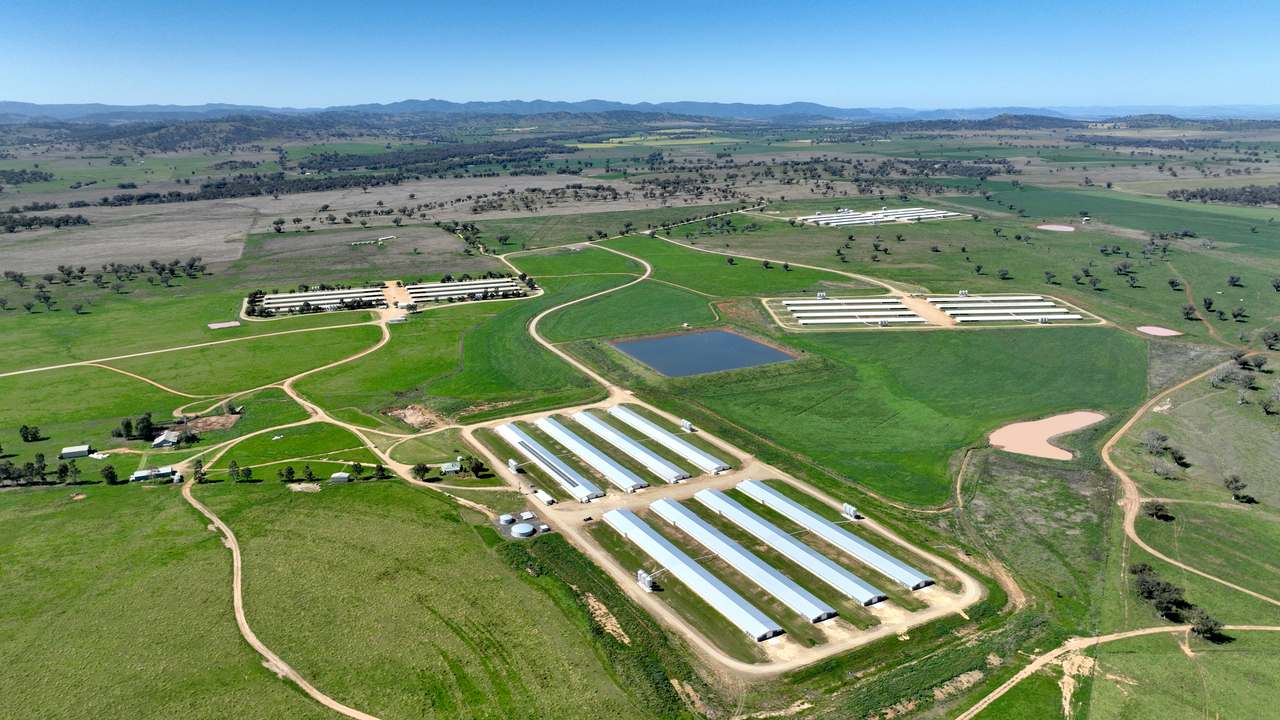 Tharri Farm, Manilla For Sale by Farmbuy.com - image 2