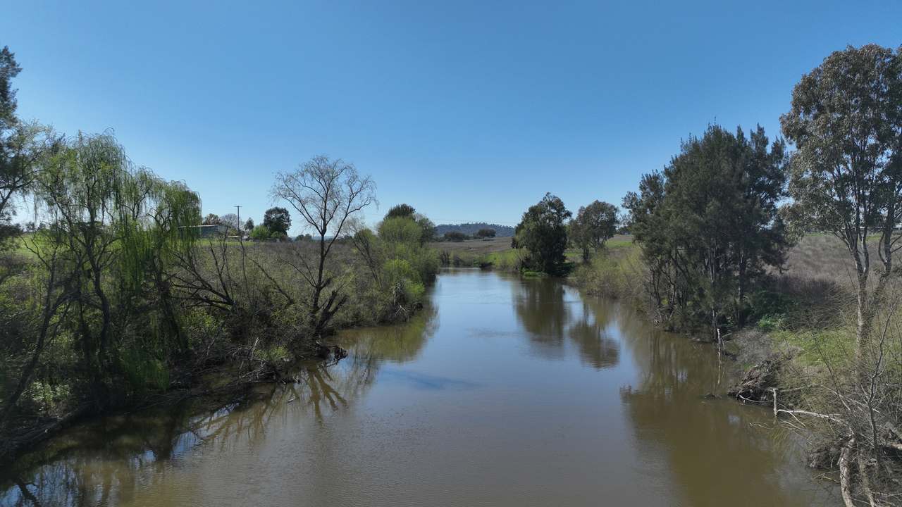 Tharri Farm, Manilla For Sale by Farmbuy.com - image 16