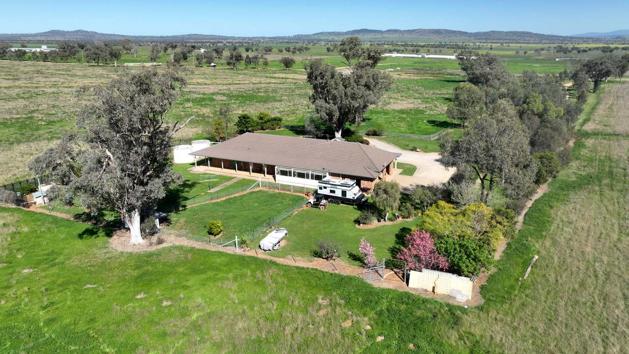 Tharri Farm, Manilla For Sale by Farmbuy.com - image 37