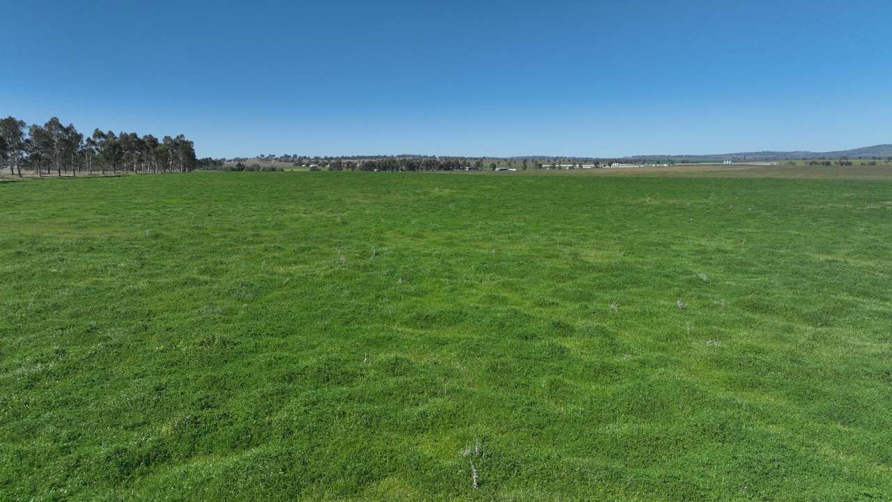 Tharri Farm, Manilla For Sale by Farmbuy.com - image 14