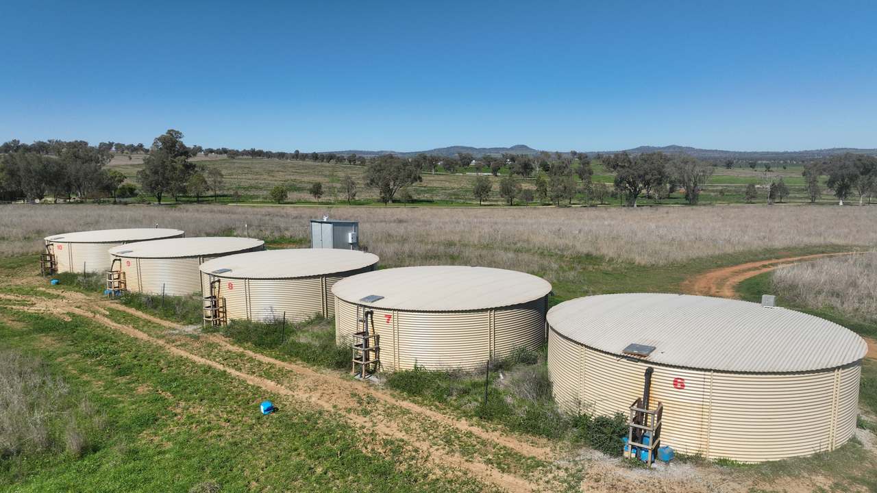 Tharri Farm, Manilla For Sale by Farmbuy.com - image 29