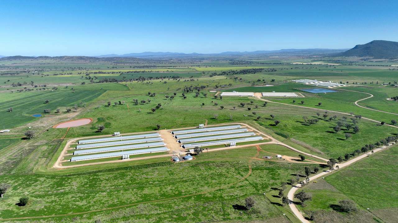 Tharri Farm, Manilla For Sale by Farmbuy.com - image 44