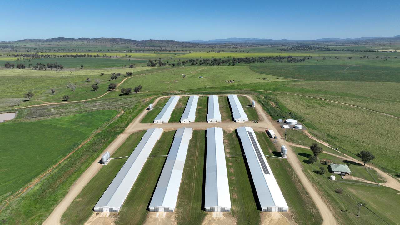 Tharri Farm, Manilla For Sale by Farmbuy.com - image 31