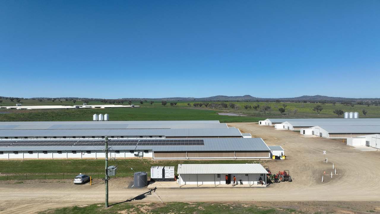 Tharri Farm, Manilla For Sale by Farmbuy.com - image 17