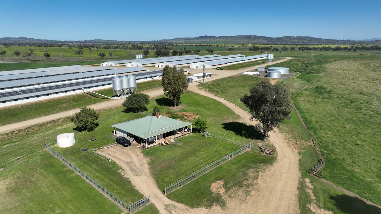Tharri Farm, Manilla For Sale by Farmbuy.com - image 33