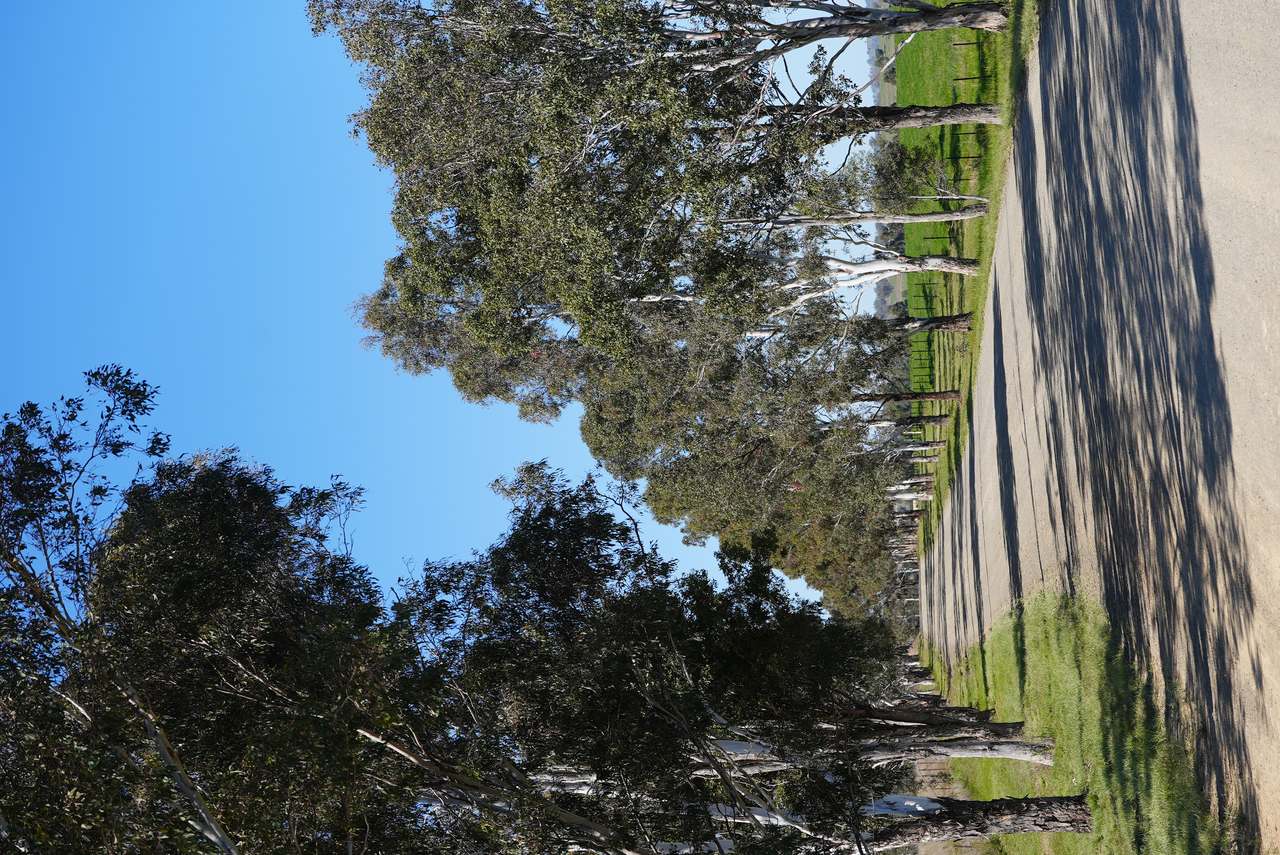 Tharri Farm, Manilla For Sale by Farmbuy.com - image 11