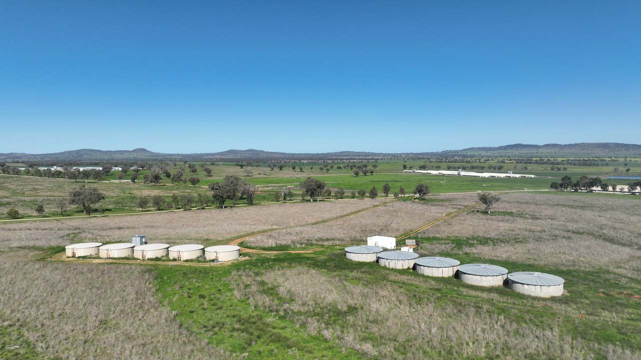 Tharri Farm, Manilla For Sale by Farmbuy.com - image 27