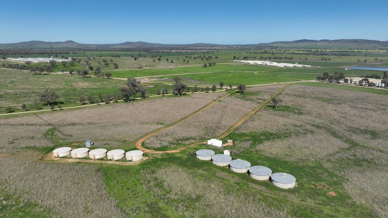 Tharri Farm, Manilla For Sale by Farmbuy.com - image 28
