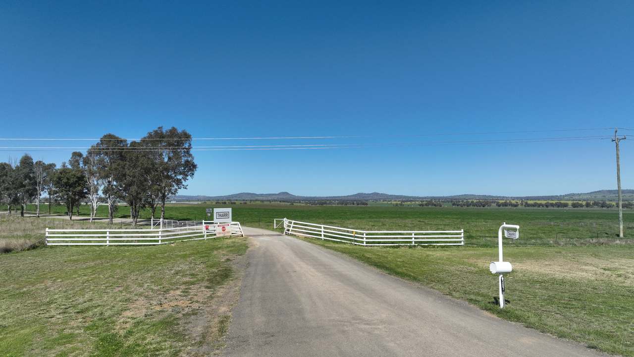 Tharri Farm, Manilla For Sale by Farmbuy.com - image 13