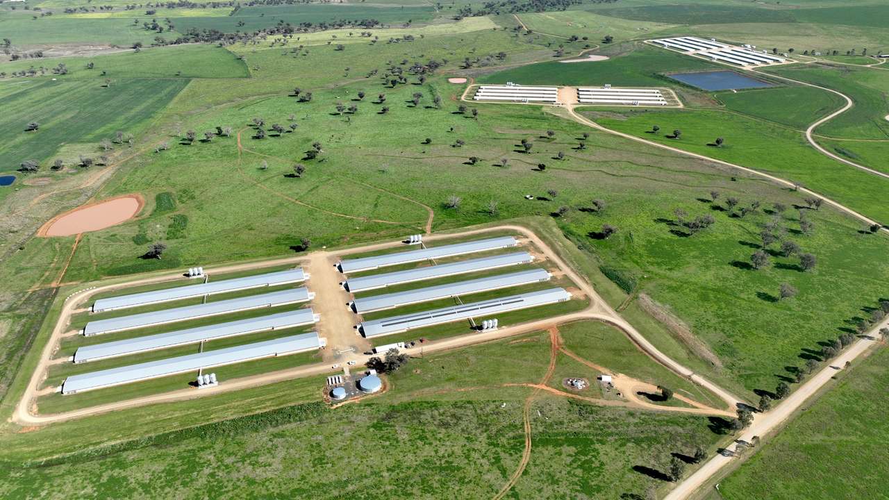 Tharri Farm, Manilla For Sale by Farmbuy.com - image 45