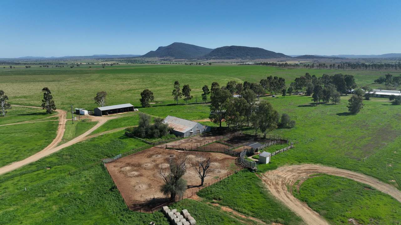 Tharri Farm, Manilla For Sale by Farmbuy.com - image 18