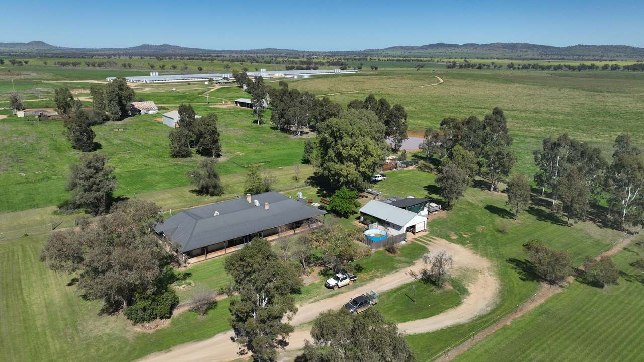 Tharri Farm, Manilla For Sale by Farmbuy.com - image 22