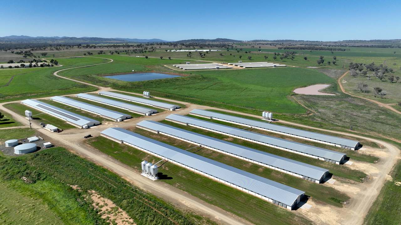 Tharri Farm, Manilla For Sale by Farmbuy.com - image 32