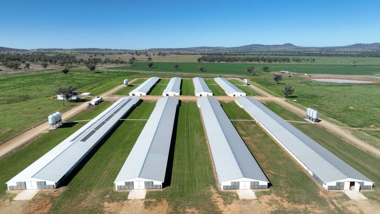 Tharri Farm, Manilla For Sale by Farmbuy.com - image 38