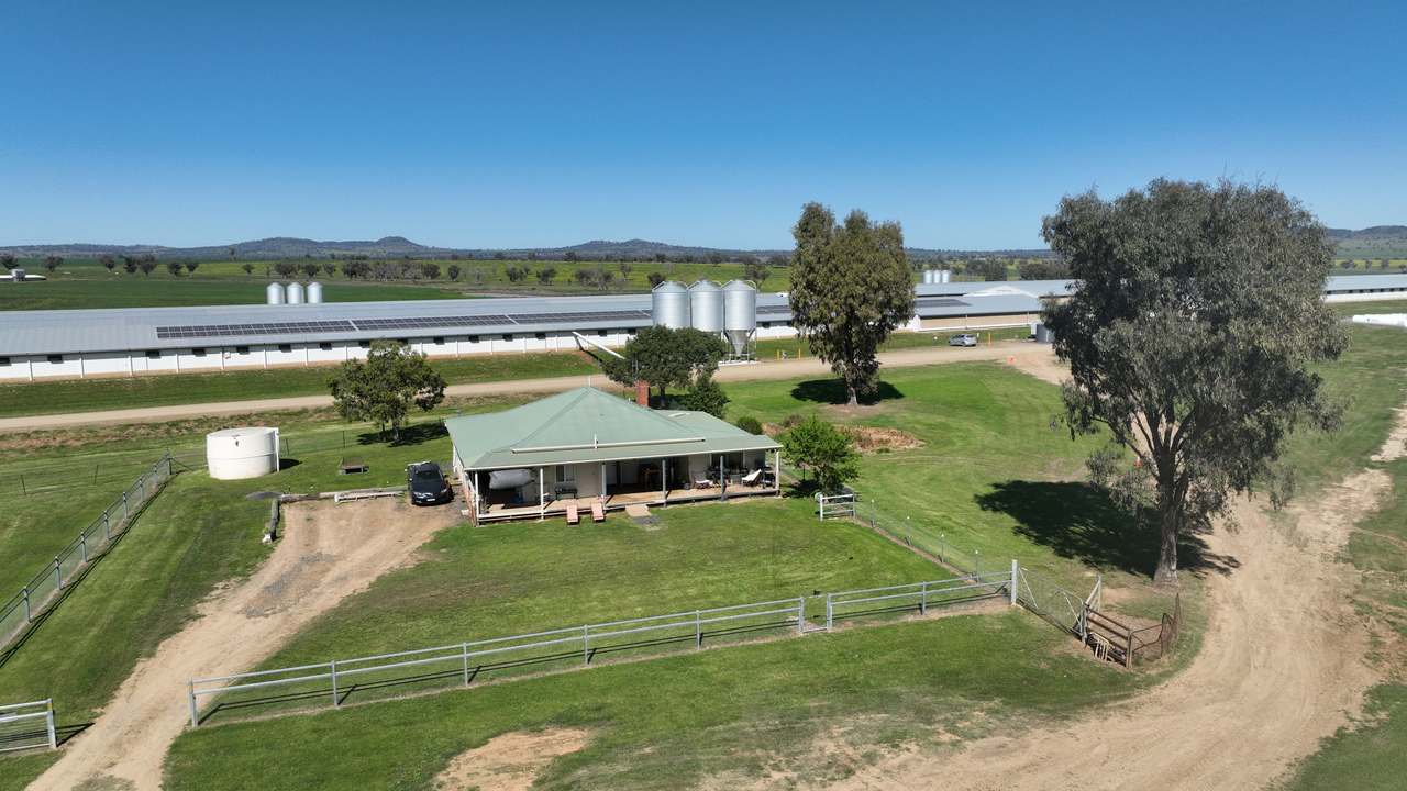Tharri Farm, Manilla For Sale by Farmbuy.com - image 34