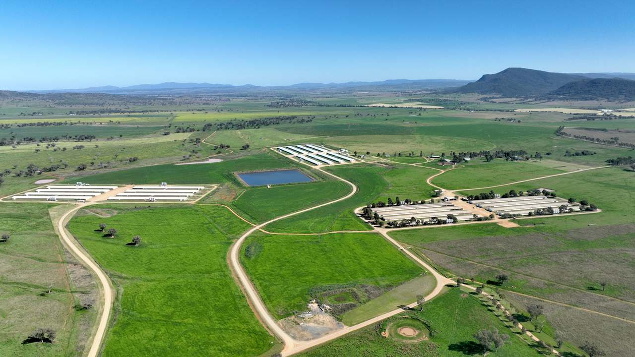 Tharri Farm, Manilla For Sale by Farmbuy.com - image 46