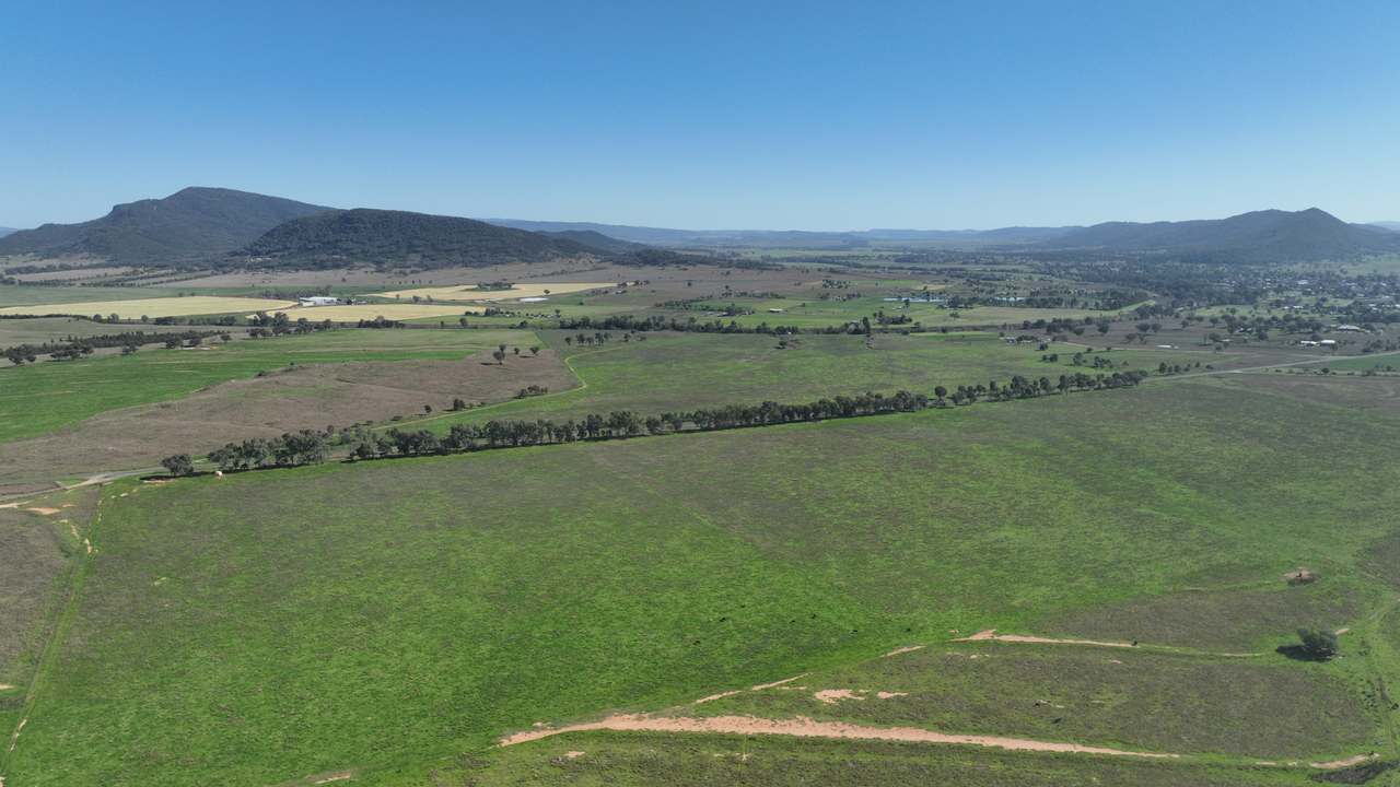 Tharri Farm, Manilla For Sale by Farmbuy.com - image 41