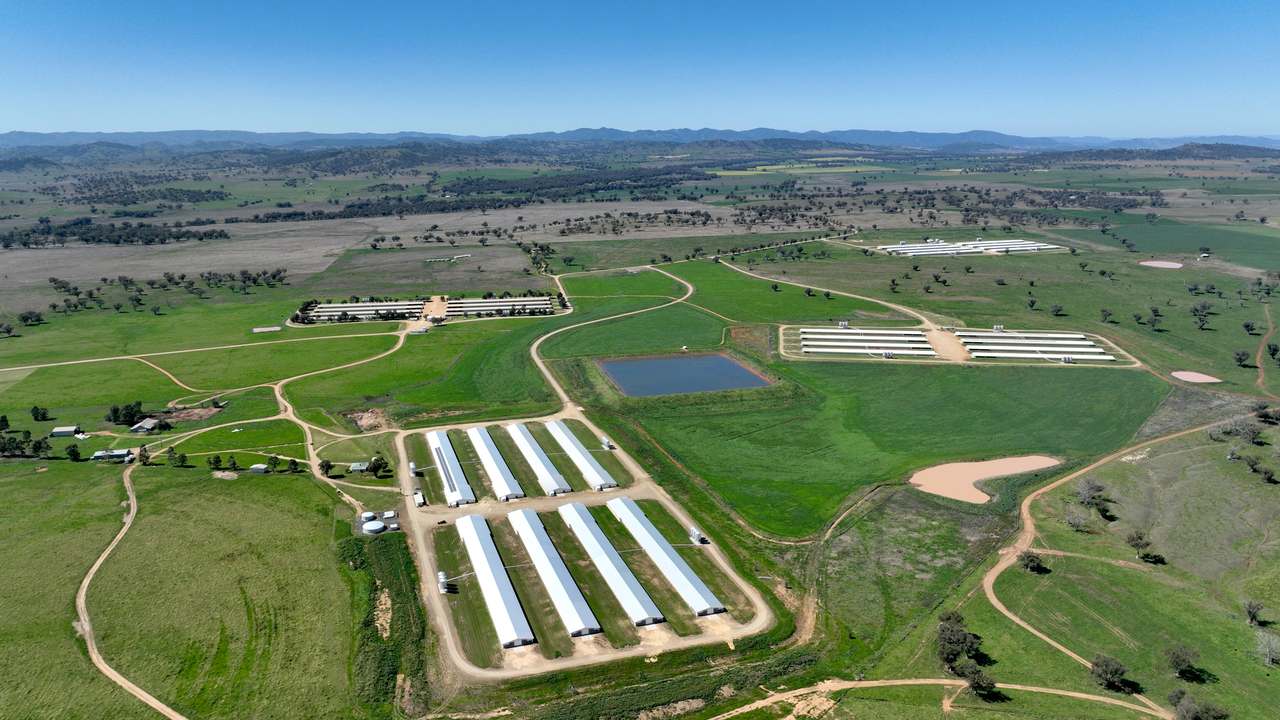 Tharri Farm, Manilla For Sale by Farmbuy.com - image 3