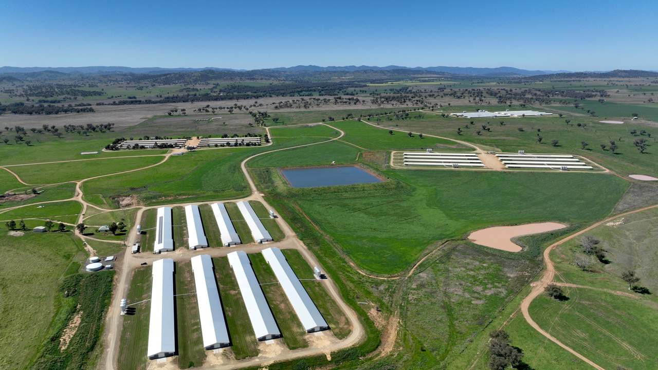 Tharri Farm, Manilla For Sale by Farmbuy.com - image 4