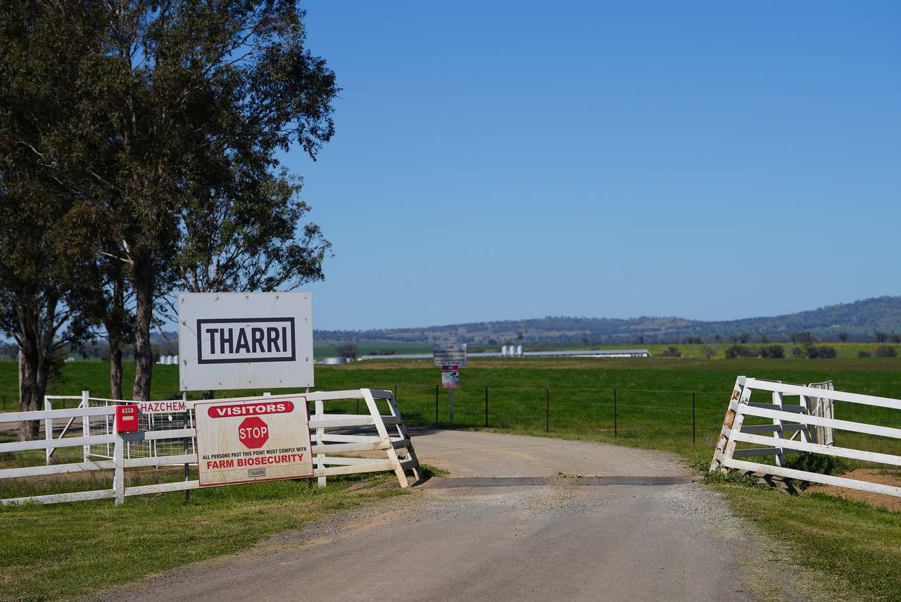 Tharri Farm, Manilla For Sale by Farmbuy.com - image 10