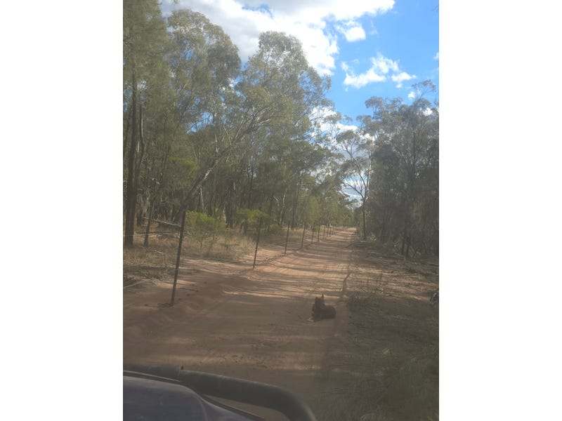 4049 Chinchilla Tara Road, Wieambilla For Sale by Farmbuy.com - image 13