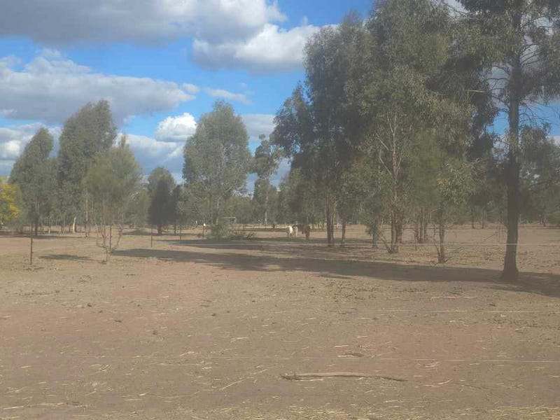 4049 Chinchilla Tara Road, Wieambilla For Sale by Farmbuy.com - image 7