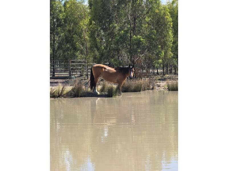 4049 Chinchilla Tara Road, Wieambilla For Sale by Farmbuy.com - image 6