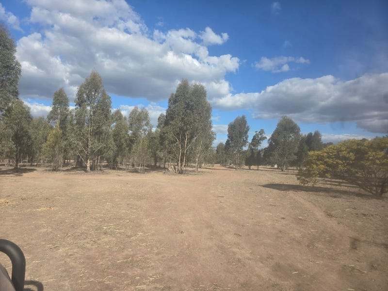 4049 Chinchilla Tara Road, Wieambilla For Sale by Farmbuy.com - image 8