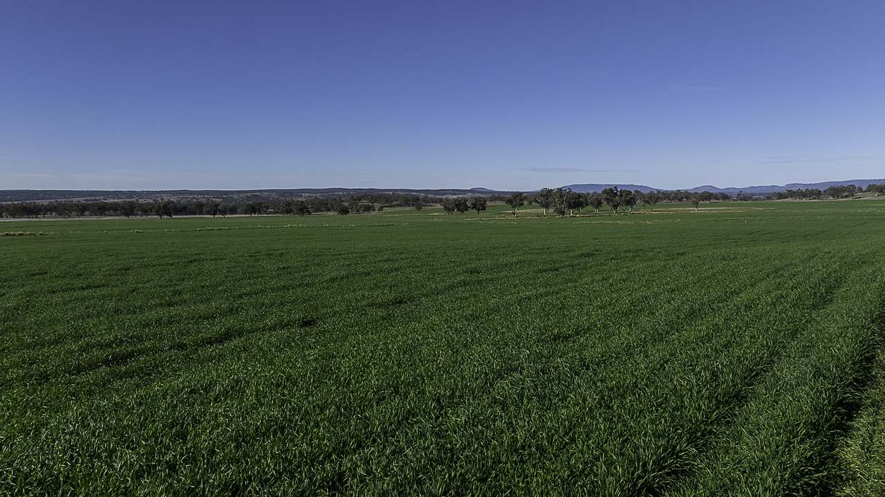 1749 WARRUMBUNGLES WAY, Coolah Expressions of Interest by Farmbuy.com - image 7