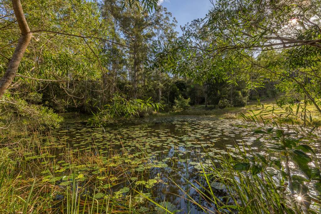 590 Stony Creek Rd, Stony Creek For Sale by Farmbuy.com - image 6