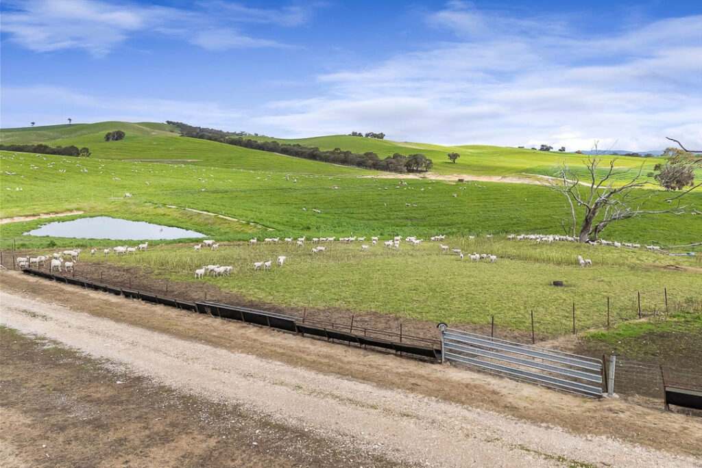V4WJ+6Q, Crowlands For Sale by Farmbuy.com - image 6