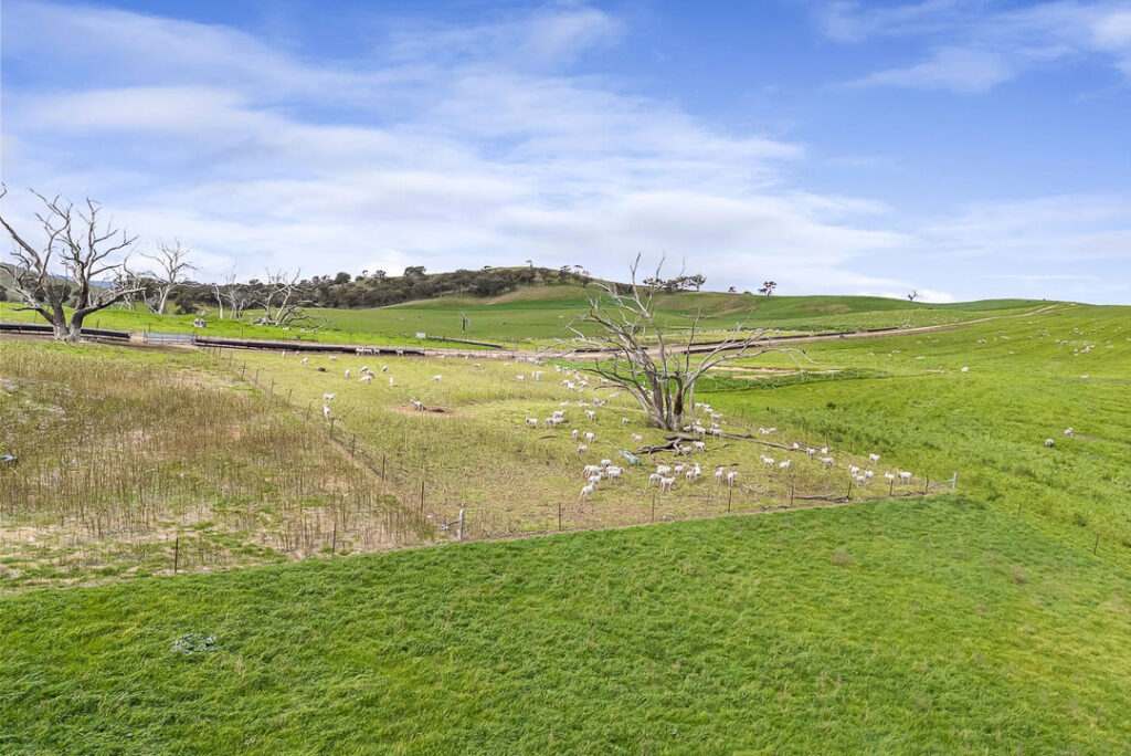 V4WJ+6Q, Crowlands For Sale by Farmbuy.com - image 7