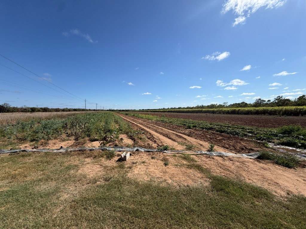 8297 Ayr-Dalbeg Road, Dalbeg For Sale by Farmbuy.com - image 9