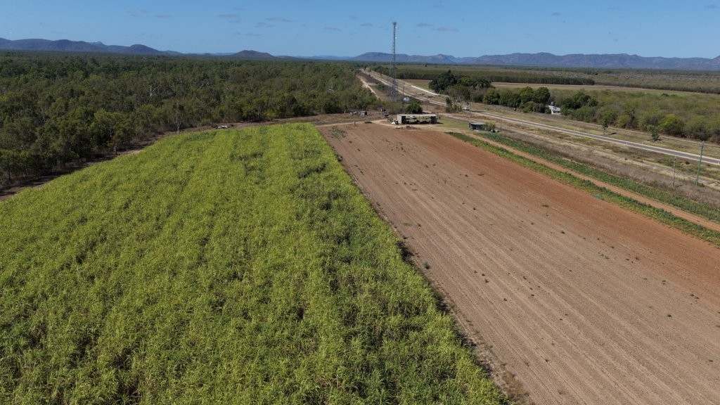 8297 Ayr-Dalbeg Road, Dalbeg For Sale by Farmbuy.com - image 3