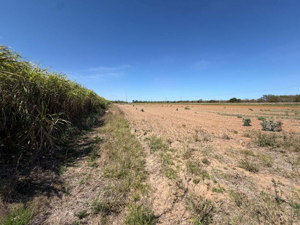 8297 Ayr-Dalbeg Road, Dalbeg For Sale by Farmbuy.com - image 22