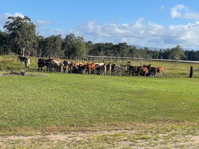 Rockingham For Sale by Farmbuy.com - image 16