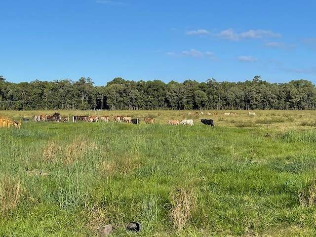 Rockingham For Sale by Farmbuy.com - image 14