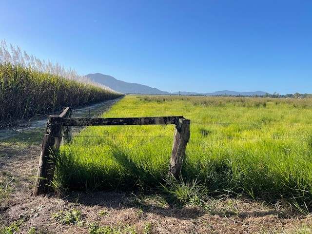 Rockingham For Sale by Farmbuy.com - image 20