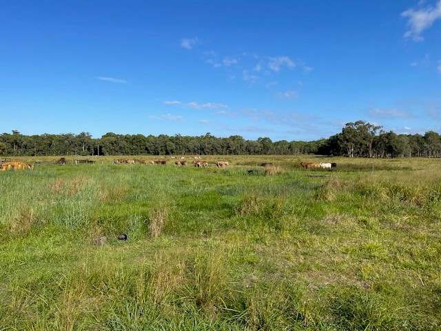 Rockingham For Sale by Farmbuy.com - image 6