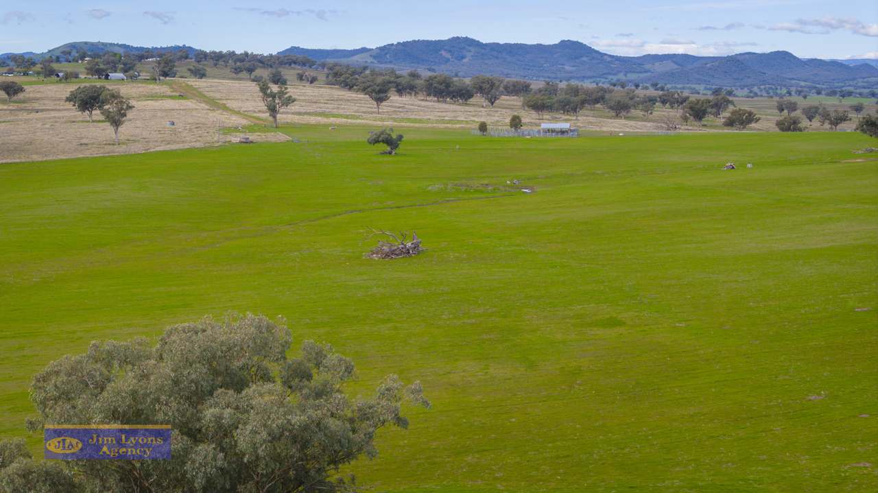 1098 Middlebrook Rd, Tamworth For Sale by Farmbuy.com - image 9