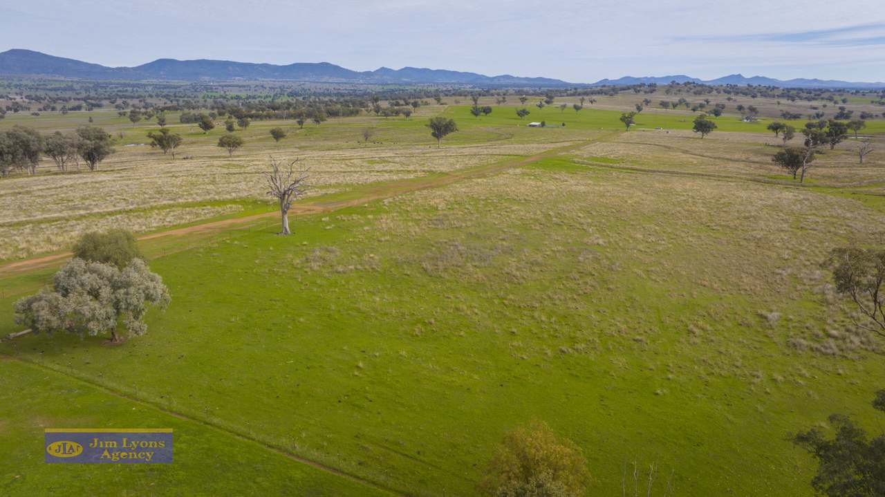 1098 Middlebrook Rd, Tamworth For Sale by Farmbuy.com - image 10